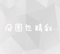 数字时代下的网络平台推广与精准引流策略